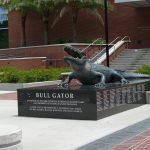 Gainesville FL Bull Gator statue at the University of Florida