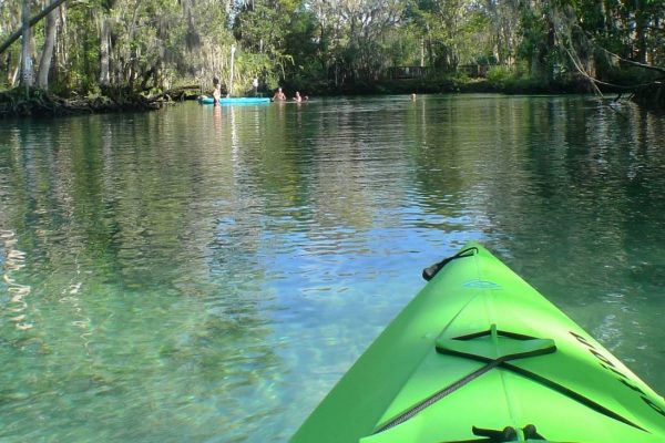 Kayaking Crystal River