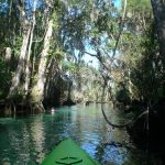 Kayaking Crystal River