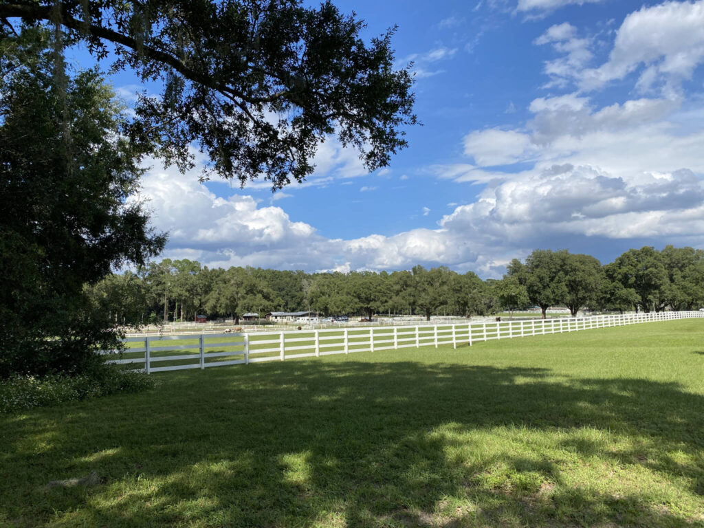 Photo of the Haile Plantation Equestrian Center across the street from the Haile Plantation Chesnut Hill neighborhood.