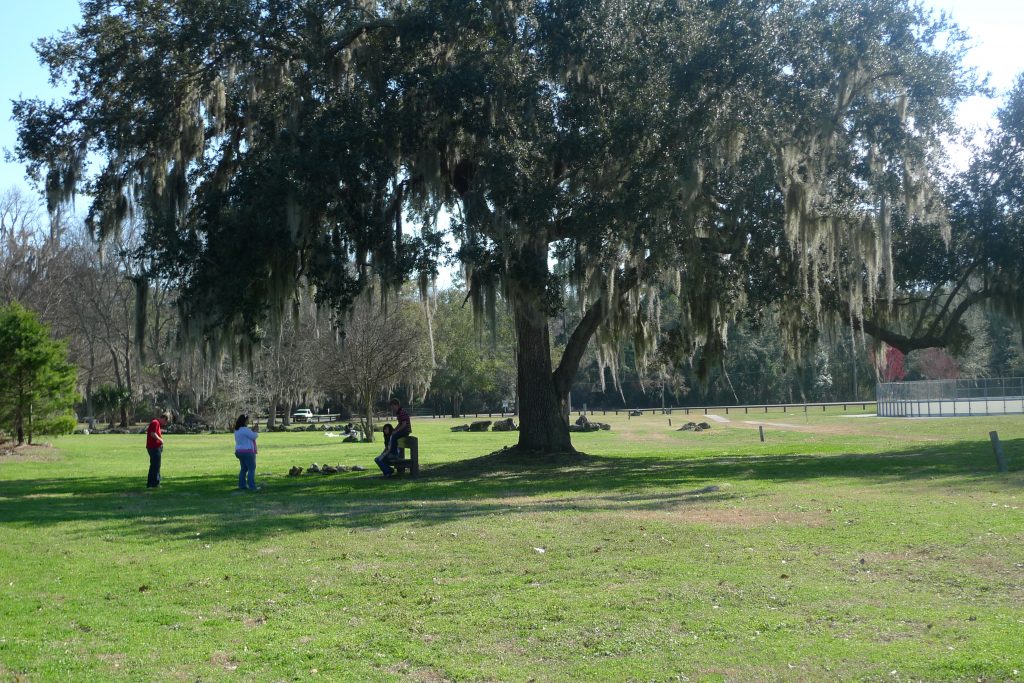 Kanapaha Park