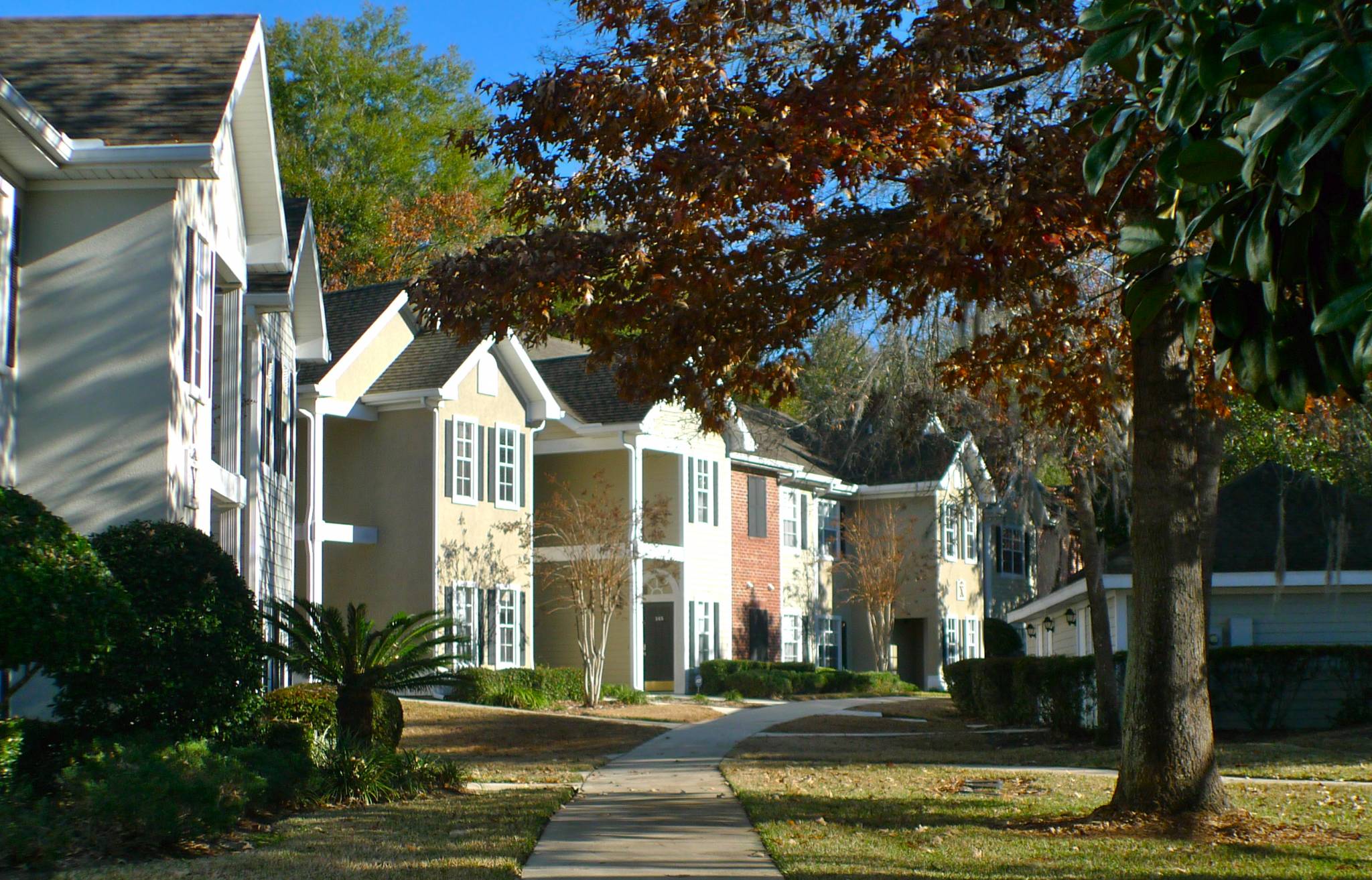 the-links-at-haile-plantation-gainesville-life