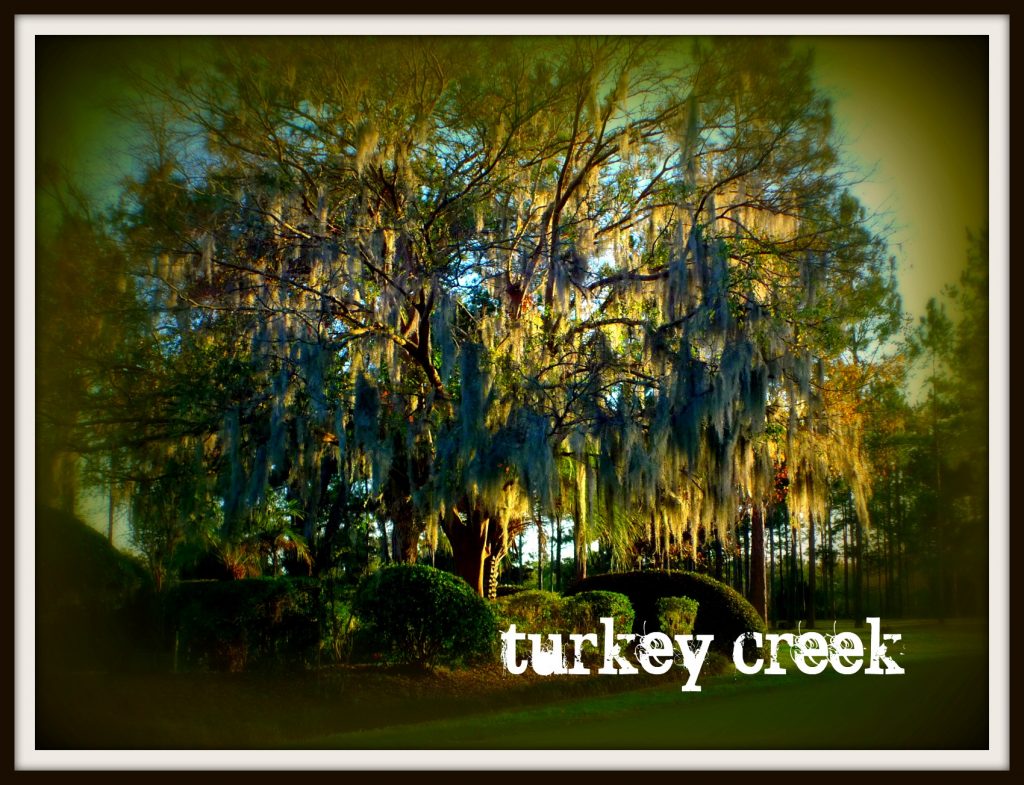 Turkey Creek neighborhood