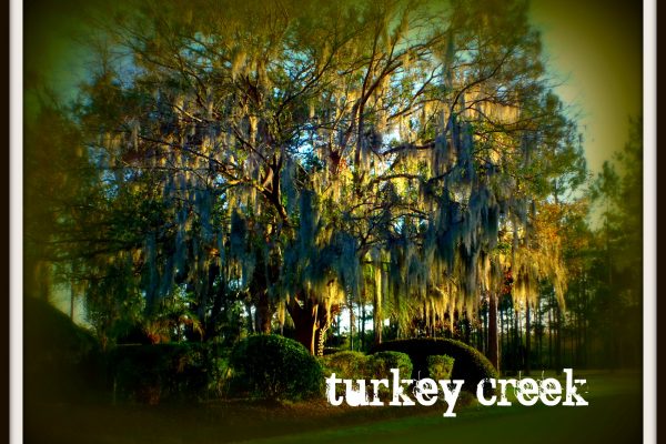 Turkey Creek neighborhood