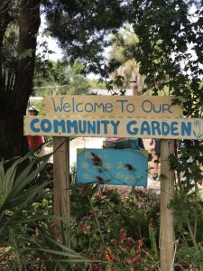 Cedar Key community garden