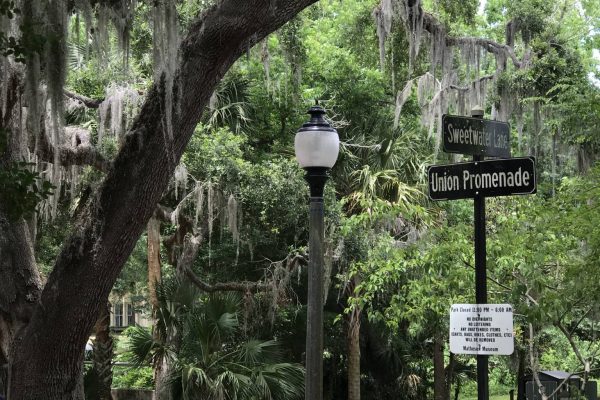 Sweetwater Park in Downtown Gainesville FL
