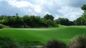 Haile Plantation golf course