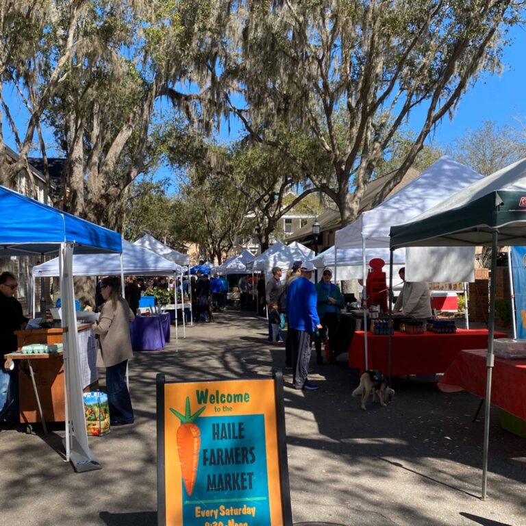 Life in Haile Plantation Gainesville FL Gainesville Life