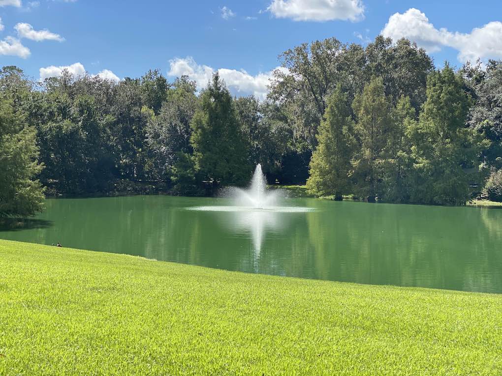 Cambridge Forest pond in Gainesville FL