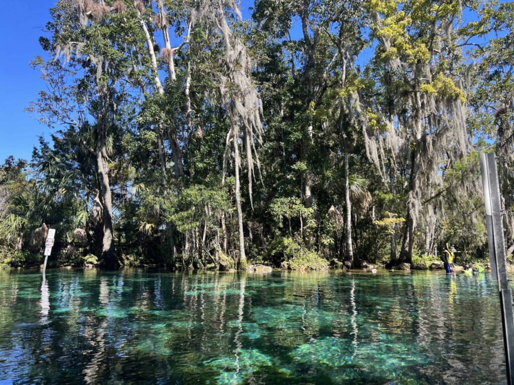 Crystal River Three Sisters Springs