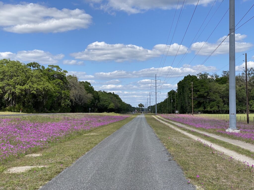 Archer Braid trail