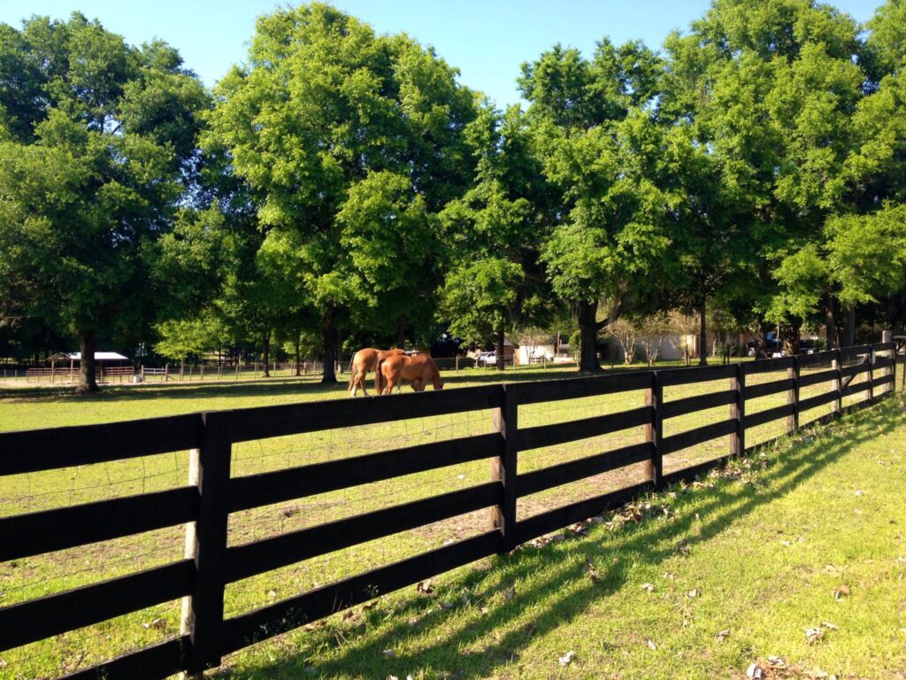 Equestrian property in Gainesville