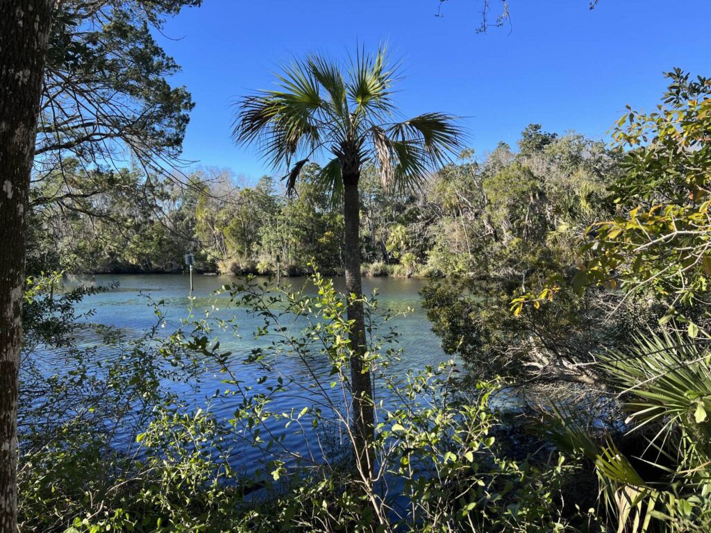 Kayaking the Homosassa River is a perfect Gainesville day trip just 90 minutes from home.